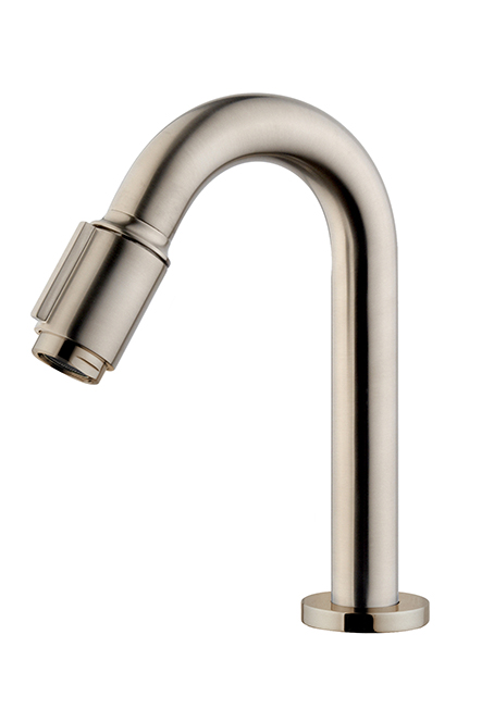 Caral Victoria fonteinkraan 1/2'' geborsteld staal PVD