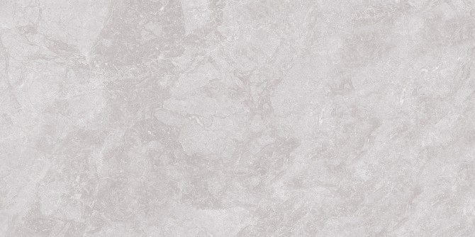 Vloertegels Cristacer Titanium Silver  60 x 120 cm.