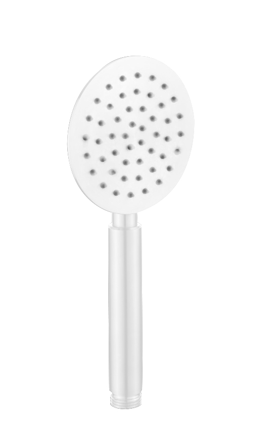 BD - Lepel-White handdouche RVS mat-wit